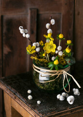 Spring decoration of yellow Winter aconite flowers in a glass jar with willow catkins. Rustic home decor concept. Copy space. (Eranthis hyemalis)