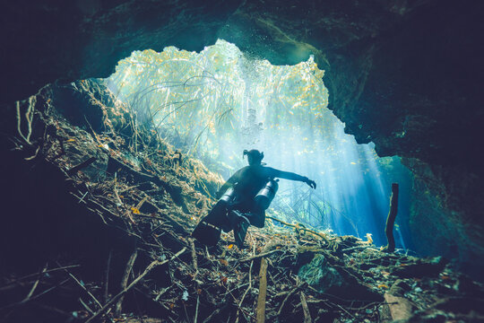 Coming Up to the Mangroves 