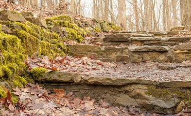 Mossy stone staircase in forest.