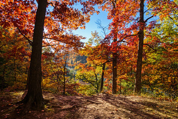 Autumn - Fall -  Seneca Park - Rochester, NY