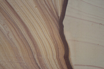 Natural Grain lines occurring in section of sandstone