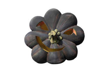 Carved pumpkin with scary expression halloween symbol