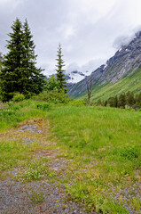 Landscape with green vegetation - Andalsnes - Norway