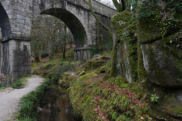 Fototapeta na wymiar The Luxulyan Valley and viaduct Cornwall
