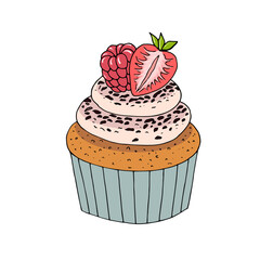 Cupcake hand drawn. Vector illustration.