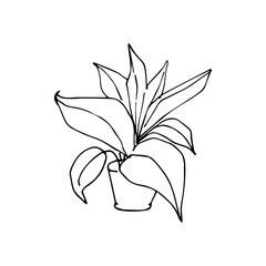 contour tattoo coloring pot of flowers greenery plant landscaping landscape design landscaping decoration living plant botany