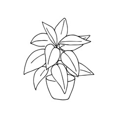 contour coloring pot of flowers greenery plant landscaping landscape design landscaping decoration living plant