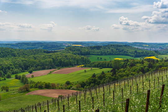 The Kraichgau landscape, the Toscana of Germany, view over Eichelberg, Oestringen in May