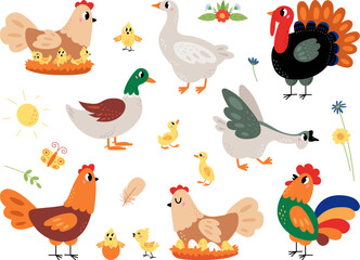 Farm cartoon birds set, walking funny chick and duck. Small chicken and ducklings, pretty hen turkey and goose. Rooster and egg nest, classy vector clipart