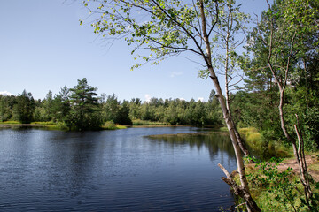 View of the lake in the Leningrad region