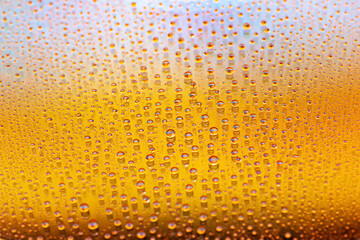 Water drops. Abstract gradient background. Texture of the drops. Yellow gradient. Heavily textured image. Shallow depth of field. Selective focus