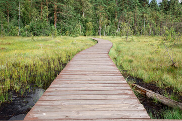 Wooden path through a peat bog