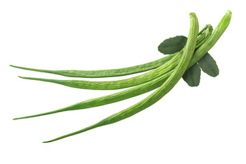 Fenugreek pods or beans w seeds (Trigonella caerulea), fresh, isolated png
