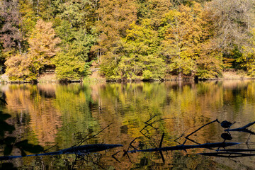 Herbst am Thalersee - Farbenpracht und Stimmung