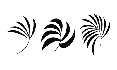 Set of vector hand drawn tropical branches. Flat black palm leaves icon isolated. Minimal botanical illustration. Floral design for print, background, banner, card, wall art poster, logo, brochure.