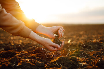 Hand of expert farmer collect soil and checking soil health before growth a seed of vegetable....