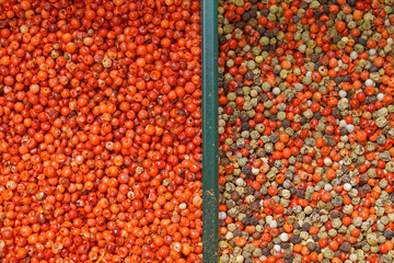 Red peppercorns pepper