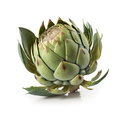 Obraz premium Fresh artichoke isolated on white background. Healthy vegan food.