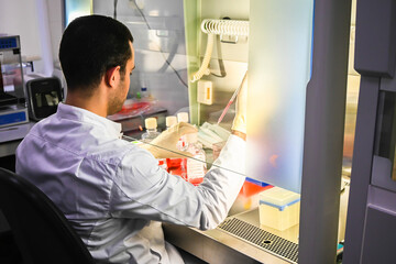 The researcher's work with cell culture in a laminar box.
