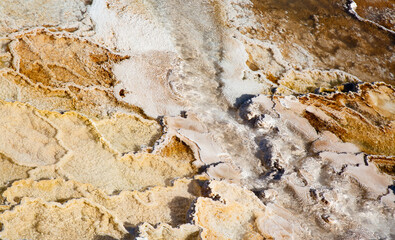 Mammoth hot springs