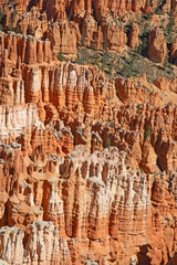 Bryce canyon