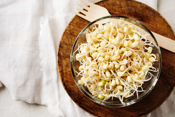 Bowl of fresh mung bean sprouts.