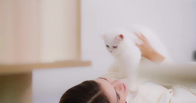 Attractive woman Playing with cute little fluffy white cat in living room, owner holding up and stroking domestic cat animals at home, Relationship between pets and people.