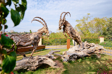 Wooden art. Goat sculputures made from tree branches brought together. Antalya, Turkey