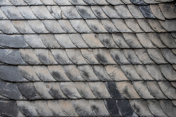 Detail of slates on a historical building