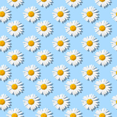 Daisies - Flower seamless pattern