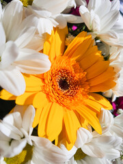 yellow gerbera,Pastel colors wedding bouquet background.many Chrysanthemums.Floral background.Selective focus. Resale of flowers. Bouquet as a gift. sunny weather