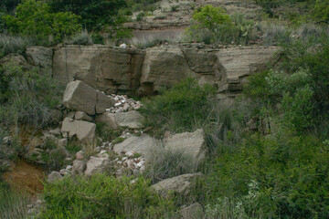 Piedras con vegetacion
