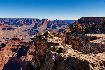 Fototapeta na wymiar Grand Canyon31