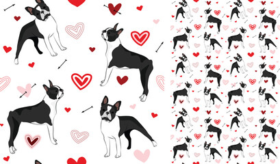 Boston terrier dog Valentine's day heart wallpaper. Love doodles hearts with pets holiday texture. square background, repeatable pattern. St Valentine's day wallpaper, valentine present, print tiles.