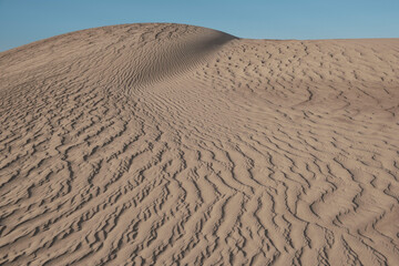 sand dunes in park