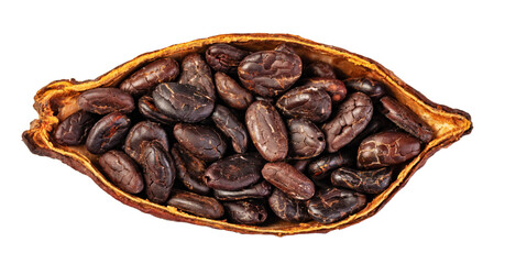 Cocoa pod