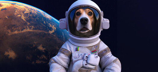 illustrazione generata con intelligenza artificiale di primo piano di cane astronauta, con sfondo della galassia e pianeti, sguardo simpatico, di bassotto ,3d render, di animale nello spazio © garpinina