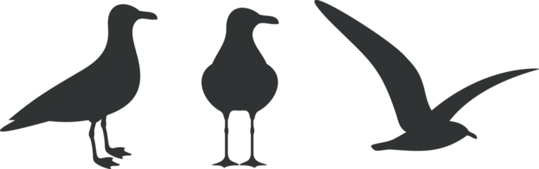 Fotobehang Seagull silhouette. Isolated seagull on white background. Bird © oleg7799