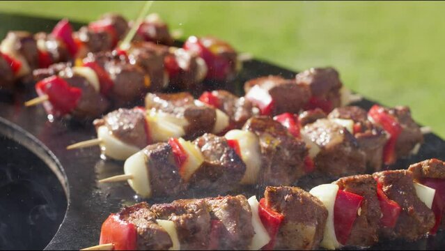 Gem&uuml;se Fleisch Grillspie&szlig;e