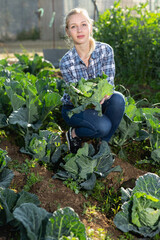 Young female gardener controlling growing process of cabbage in homestead