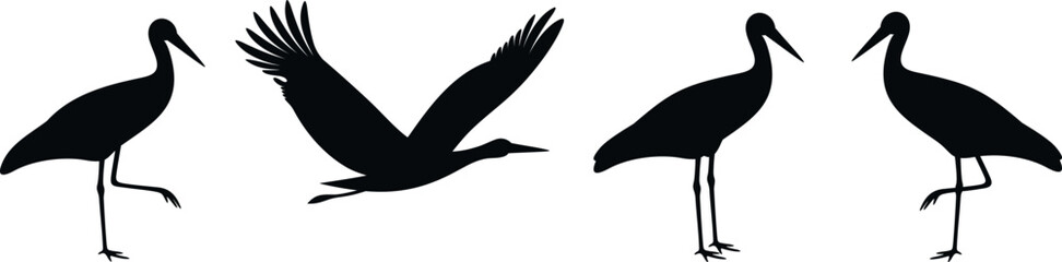 Stork silhouette. Isolated stork on white background