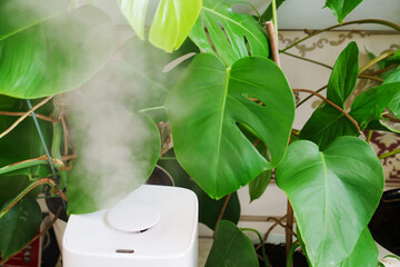 a white device for humidifying the air works near indoor plants. 