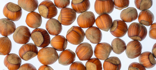 beautiful hazelnuts on a white background