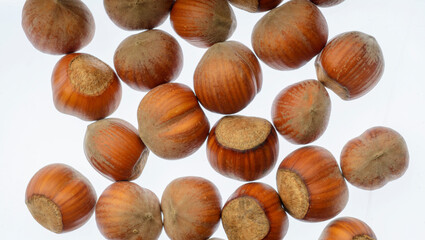 beautiful hazelnuts on a white background