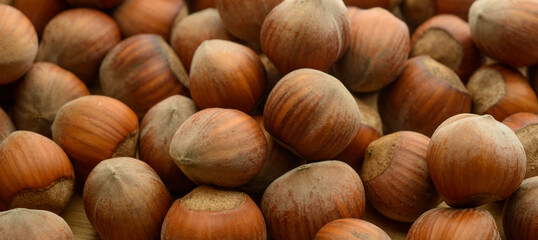 beautiful hazelnuts on a wooden background close-up