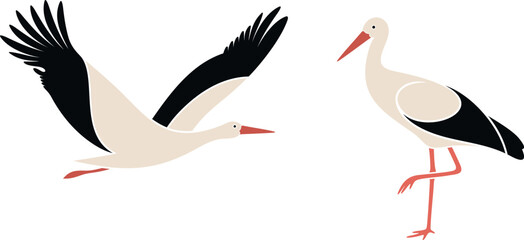 Stork set. Isolated stork on white background