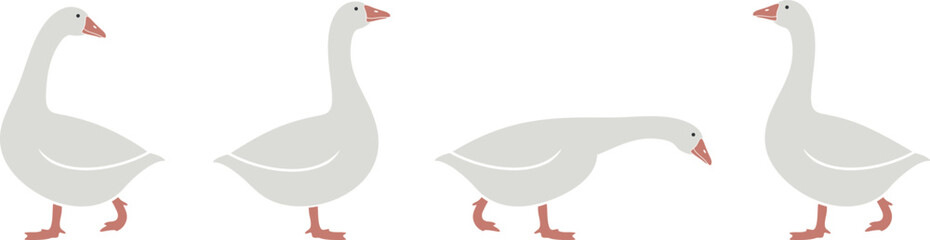 Goose logo. Isolated goose on white background. Bird - obrazy, fototapety, plakaty