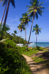 Rocks, waves, sand and vegetation at Praia do Resende beach