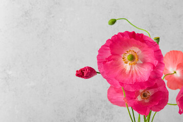 Pink poppy flowers bouquet on gray background. Wedding card with copy space. Still life