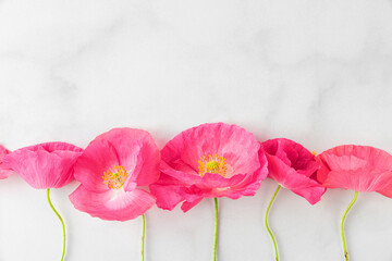 Flower composition. Pink poppy flowers on white background. Holiday or wedding card. Flat lay